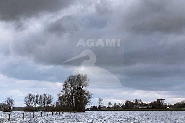 IJssel hoog water, IJssel high water stock-image by Agami/Eric Tempelaars,