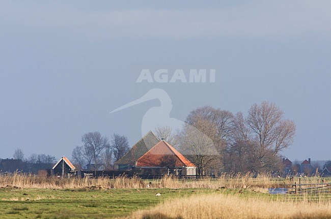 Boerderij in Noord-Holland, Farm at Noord-Holland stock-image by Agami/Wil Leurs,