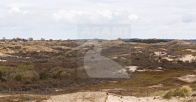 Strand en duinen zandvoort met hollandse wolkenlucht stock-image by Agami/Arjan van Duijvenboden,