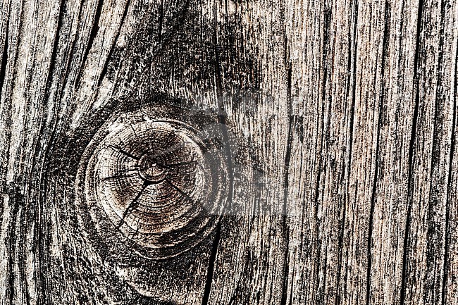 Texture of old and weathered wood stock-image by Agami/Wil Leurs,