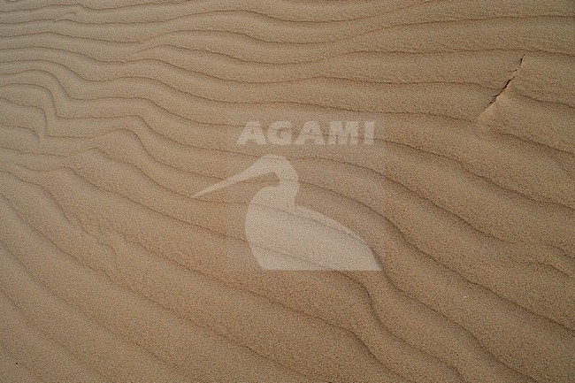 Sand Dunes, Boavista, Cape Verde stock-image by Agami/Saverio Gatto,