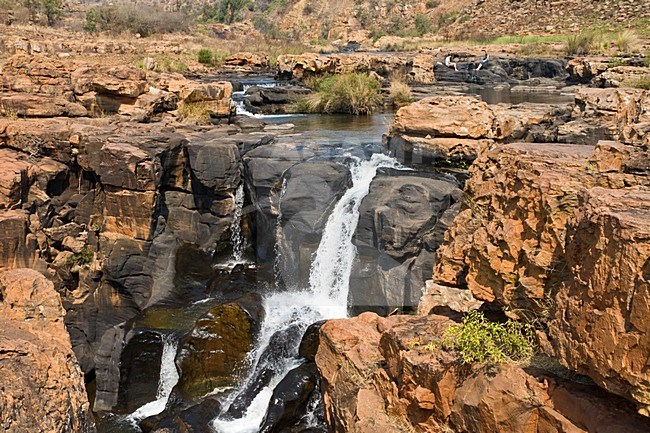 Bourke's Luck Potholes, Blyde River Canyon, South-Africa / Zuid-Afrika stock-image by Agami/Marc Guyt,
