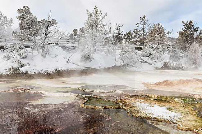 Landschap van Mammoth Hot Springs; Landscape of Mammoth Hot Springs stock-image by Agami/Caroline Piek,