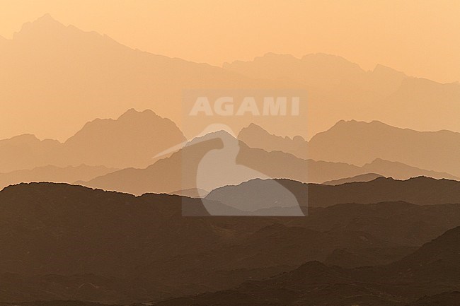 Hadschar-Mountains, Oman stock-image by Agami/Ralph Martin,