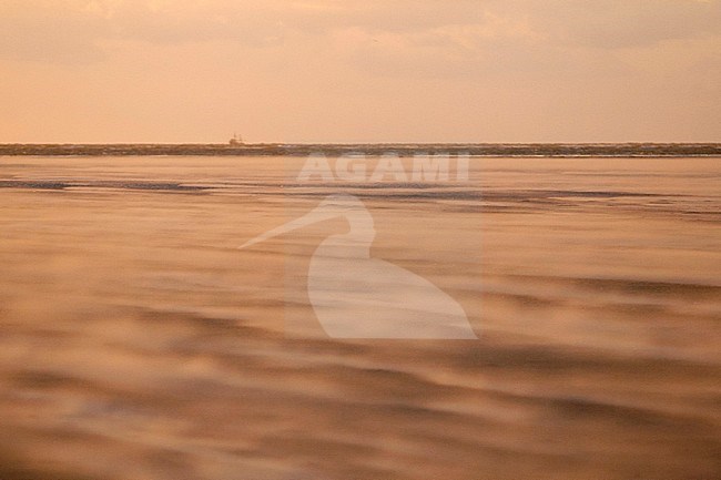 Norderoogsand at dusk on a windy day, Germany stock-image by Agami/Ralph Martin,