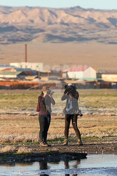 Two female birdwatchers in Mongolia. Doing observations of local bird species. stock-image by Agami/James Eaton,