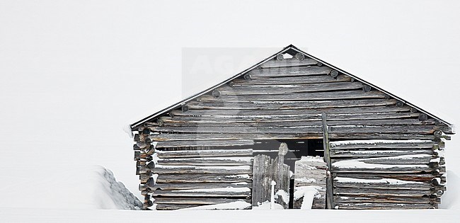  stock-image by Agami/Markus Varesvuo,