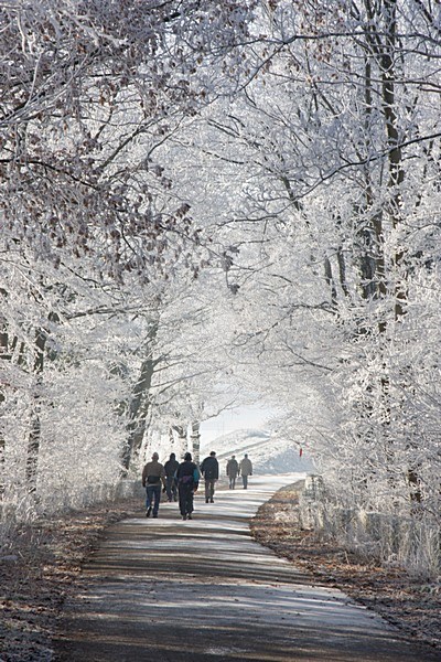 Wandelaars in winters landschap; People walking in winter landscape stock-image by Agami/Ran Schols,