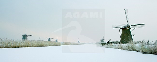 Winterlandschap met molen; Winter landscape with windmill stock-image by Agami/Bas Haasnoot,
