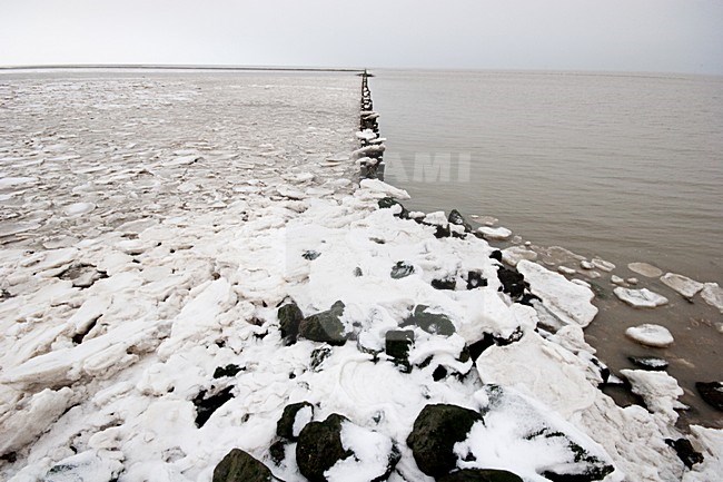 Waddenzee in winter stock-image by Agami/Menno van Duijn,