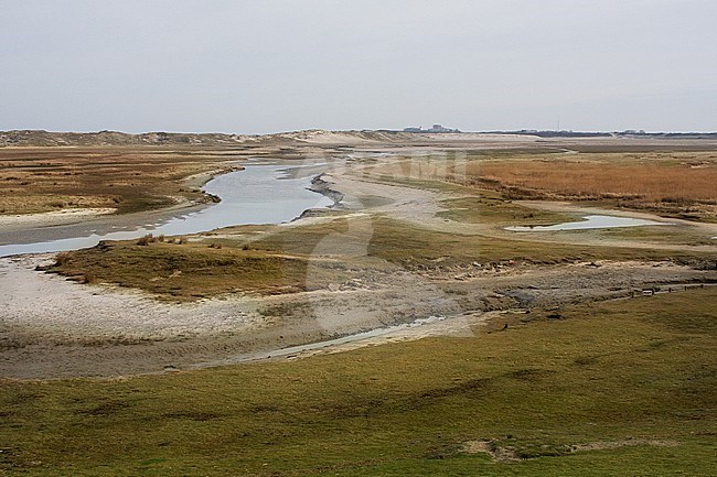 Landscape Het Zwin, Belgium on the border with the Netherlands. stock-image by Agami/Bas Haasnoot,