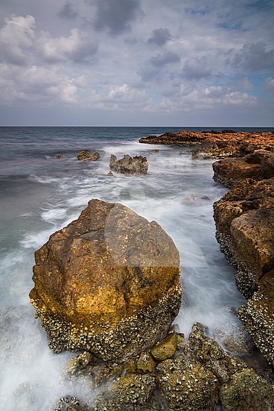 Coast at Ras al Hadd, Oman stock-image by Agami/Ralph Martin,