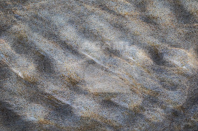 Sand structures at the beach stock-image by Agami/Wil Leurs,