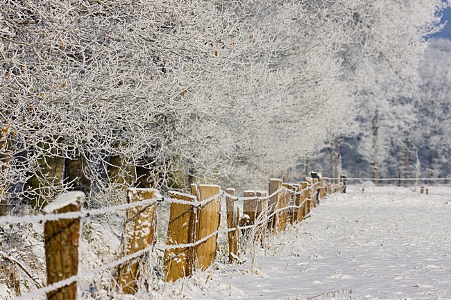 Winter in Vecht en Beneden Rogge; Winter in Vecht en Beneden Rogge stock-image by Agami/Theo Douma,