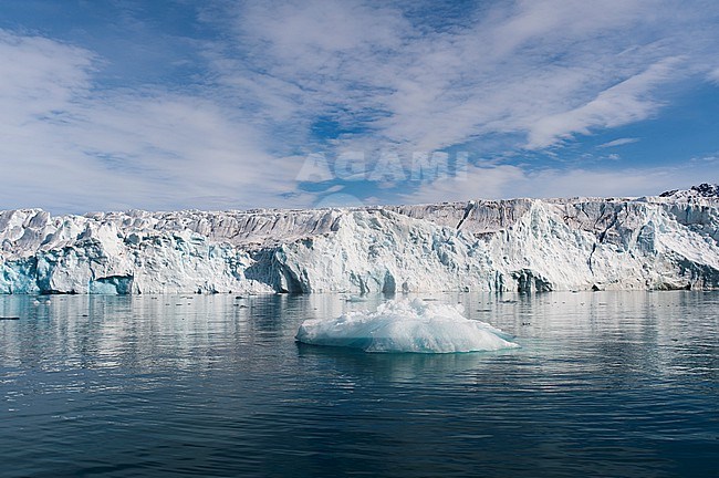 Ice flow in arctic waters fronting Lilliehook Glacier. Lilliehookfjorden, Spitsbergen Island, Svalbard, Norway. stock-image by Agami/Sergio Pitamitz,