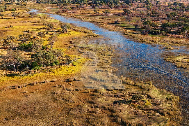 An aerial view of the Okavango Delta. Okavango Delta, Botswana. stock-image by Agami/Sergio Pitamitz,