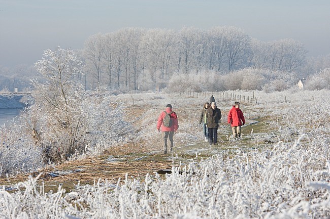 Wandelaars in winters landschap; People walking in winter landscape stock-image by Agami/Ran Schols,