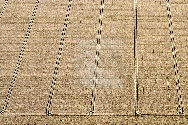 Luchtfotografie van het landschap van Noord-Holland; Aerial photography of Noord-Holland landscape stock-image by Agami/Marc Guyt,