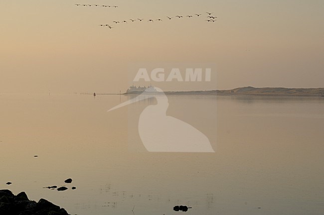  stock-image by Agami/Rob Riemer,