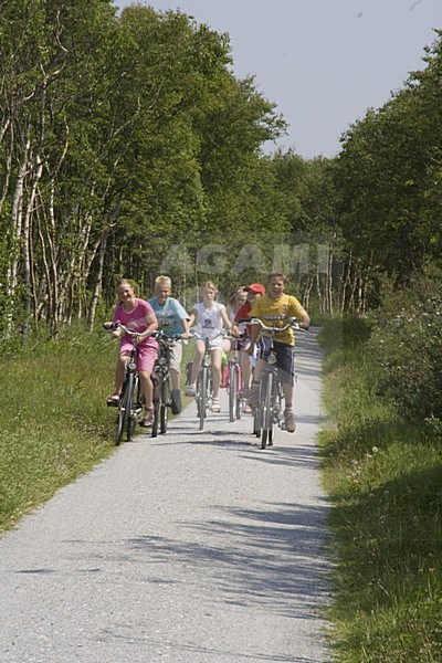 Cyclists at Schiermonnikoog, Fietsers op Schiermonnikoog stock-image by Agami/Arnold Meijer,