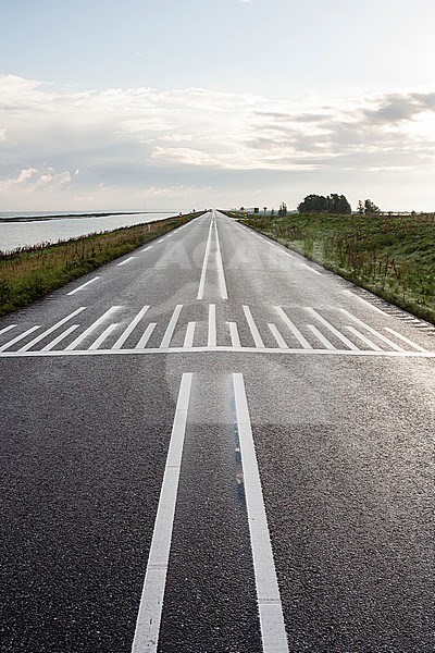 Uitzicht over de Oostvaardersdijk zonder auto's; Overview of Oostvaardersdijk without any cars stock-image by Agami/Marc Guyt,