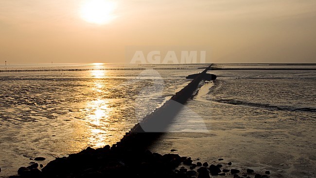 Avond op de Waddenzee; Evening at the Waddensea stock-image by Agami/Theo Douma,