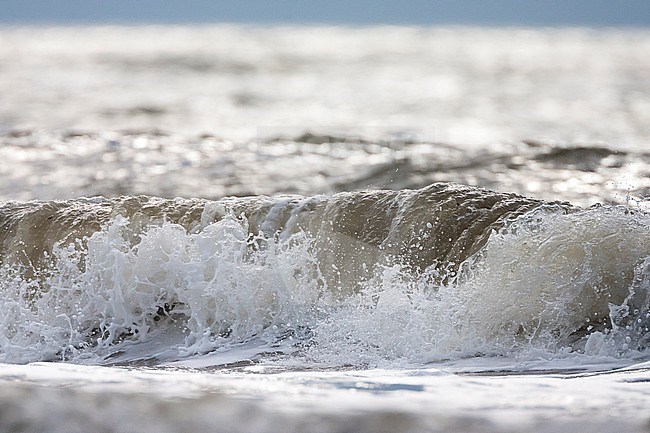 Detail of waves at North Sea stock-image by Agami/Marc Guyt,