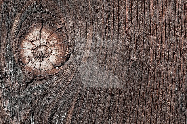Texture of old and weathered wood stock-image by Agami/Wil Leurs,