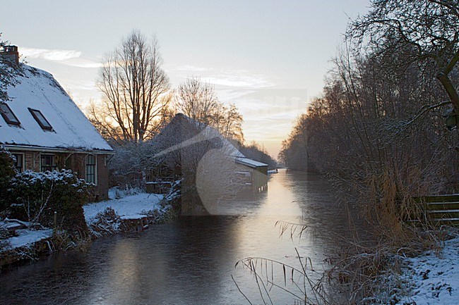 Naardermeer in winter, Naardermeer in winter stock-image by Agami/Roy de Haas,